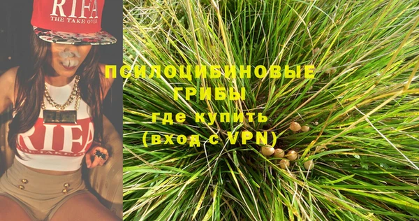 синтетический гашиш Алексин