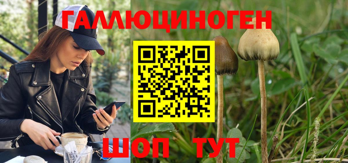 Родники  Галлюциногенные грибы ЛСД  Вход с VPN  Псилоцибиновые грибы мицелий 